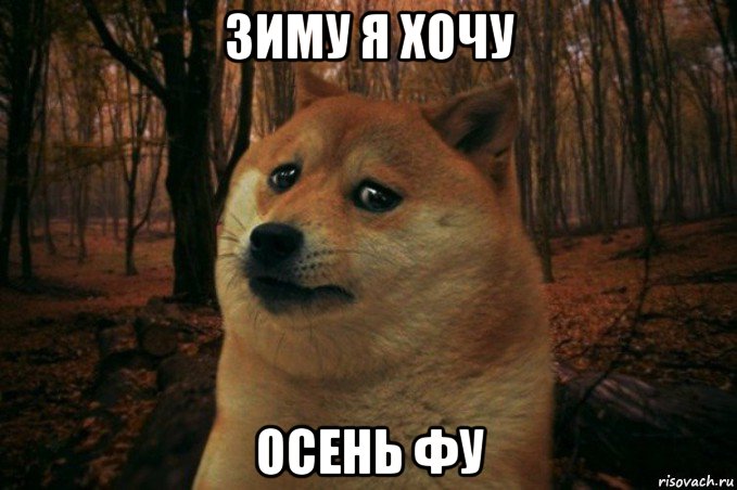 зиму я хочу осень фу, Мем SAD DOGE