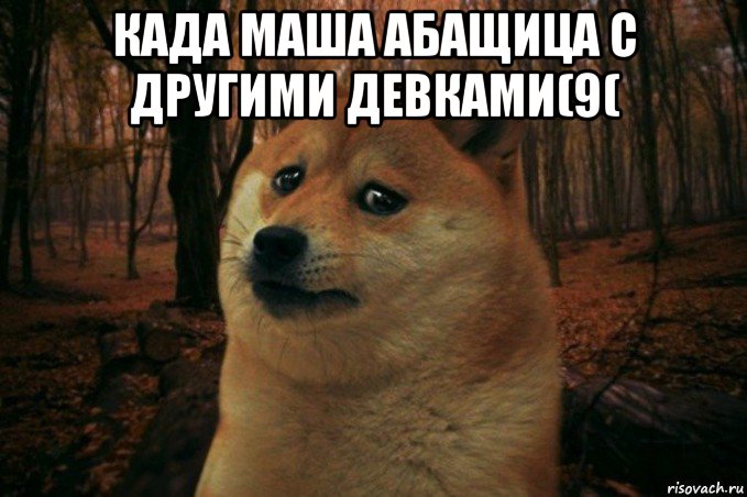 када маша абащица с другими девками(9( , Мем SAD DOGE