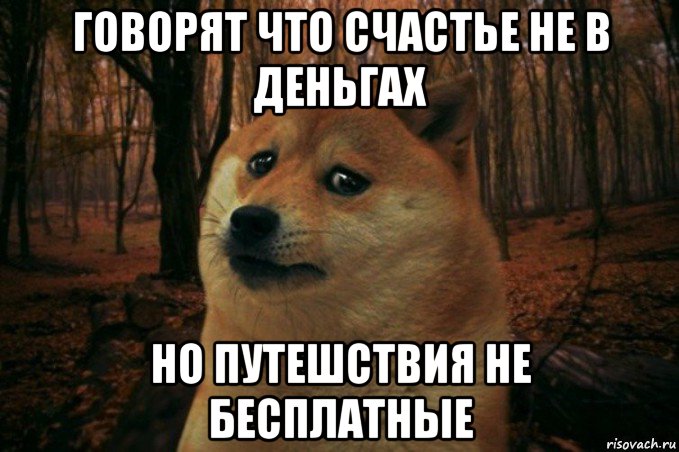 говорят что счастье не в деньгах но путешствия не бесплатные, Мем SAD DOGE