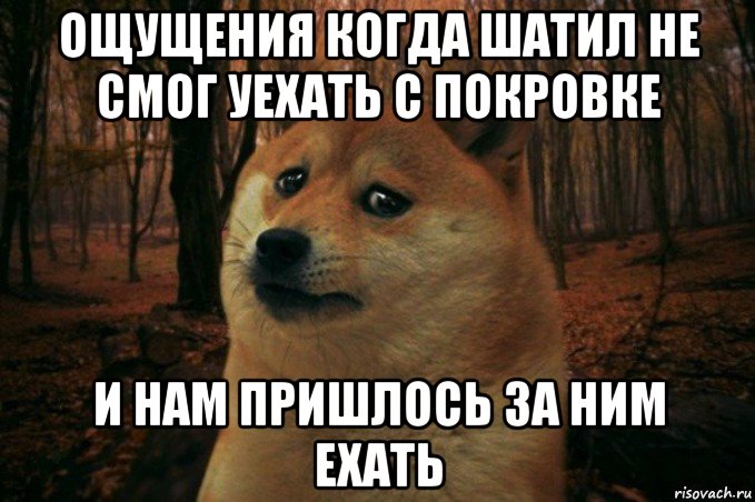 ощущения когда шатил не смог уехать с покровке и нам пришлось за ним ехать, Мем SAD DOGE