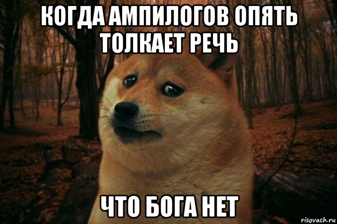 когда ампилогов опять толкает речь что бога нет, Мем SAD DOGE