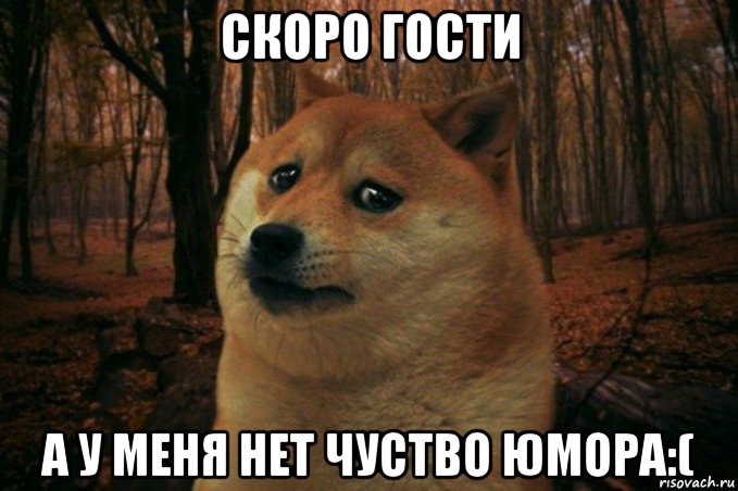 скоро гости а у меня нет чуство юмора:(, Мем SAD DOGE