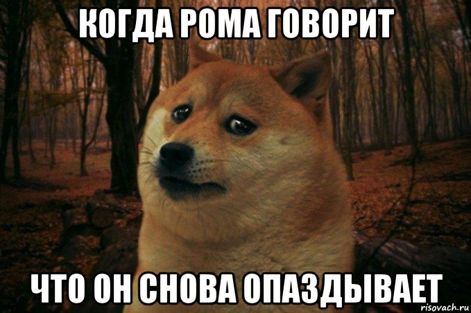 когда рома говорит что он снова опаздывает, Мем SAD DOGE