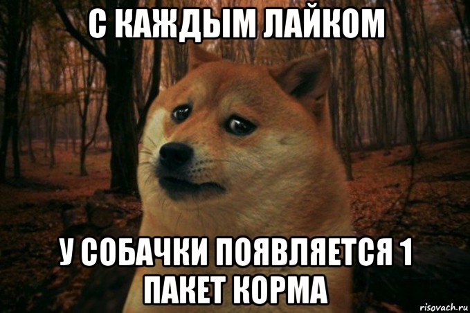 с каждым лайком у собачки появляется 1 пакет корма, Мем SAD DOGE