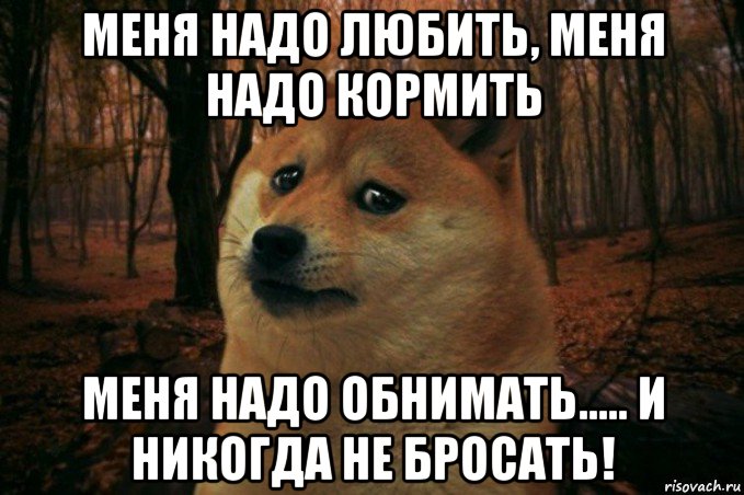 меня надо любить, меня надо кормить меня надо обнимать..... и никогда не бросать!, Мем SAD DOGE