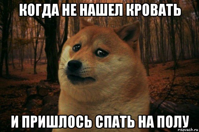 когда не нашел кровать и пришлось спать на полу, Мем SAD DOGE