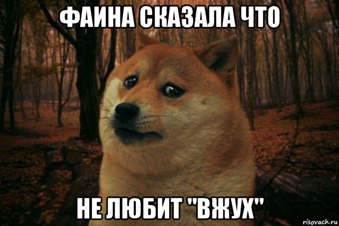 фаина сказала что не любит "вжух", Мем SAD DOGE