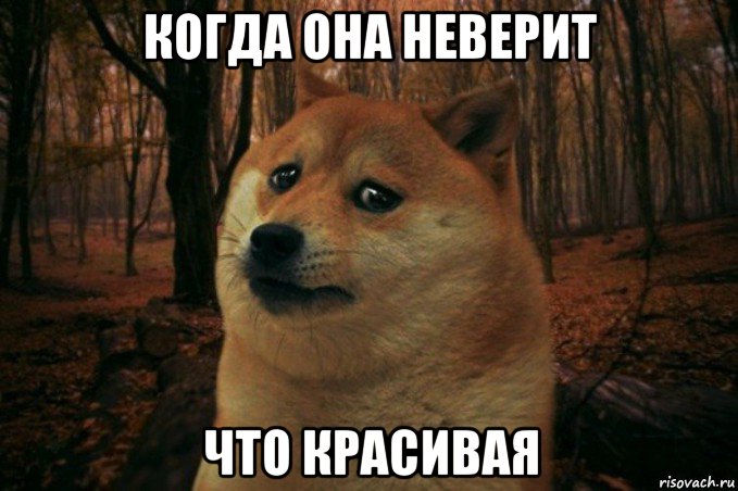 когда она неверит что красивая, Мем SAD DOGE