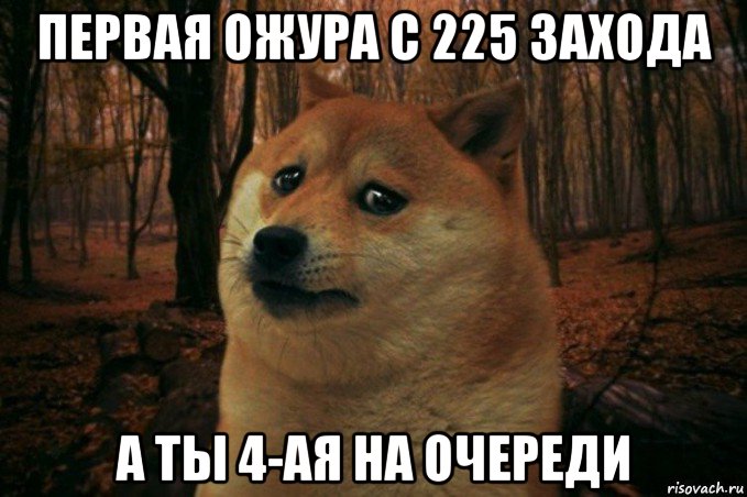 первая ожура с 225 захода а ты 4-ая на очереди, Мем SAD DOGE