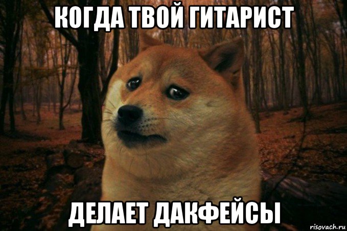 когда твой гитарист делает дакфейсы, Мем SAD DOGE