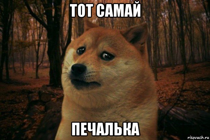 тот самай печалька, Мем SAD DOGE