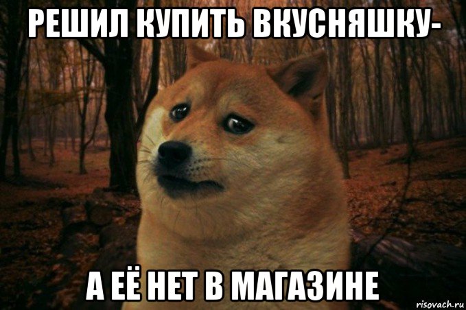 решил купить вкусняшку- а её нет в магазине, Мем SAD DOGE