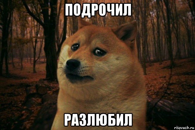 подрочил разлюбил, Мем SAD DOGE