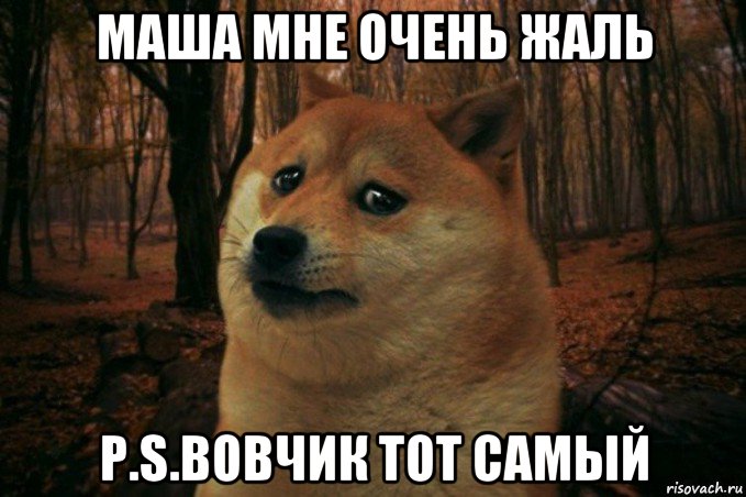 маша мне очень жаль p.s.вовчик тот самый, Мем SAD DOGE