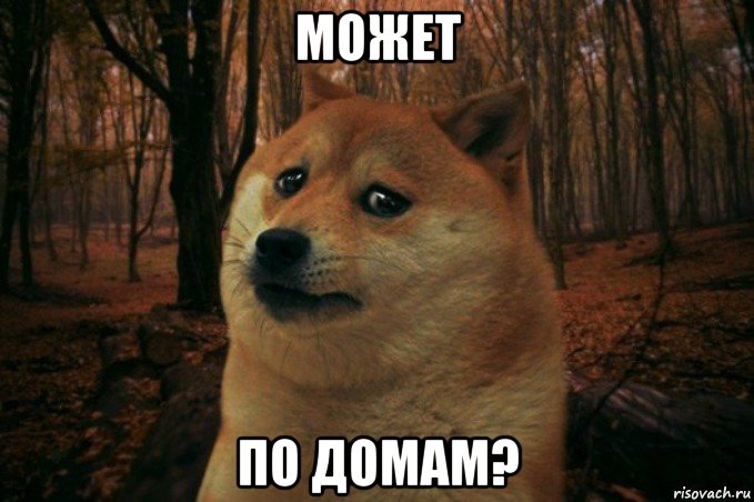 может по домам?, Мем SAD DOGE