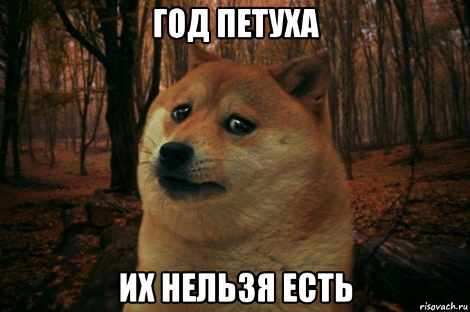 год петуха их нельзя есть, Мем SAD DOGE