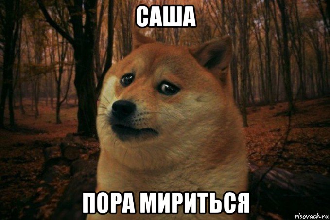 саша пора мириться, Мем SAD DOGE