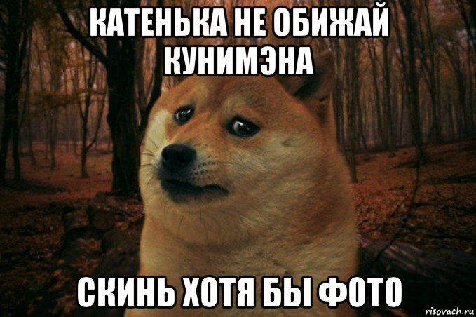 катенька не обижай кунимэна скинь хотя бы фото, Мем SAD DOGE