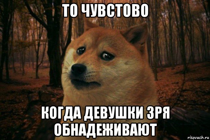 то чувстово когда девушки зря обнадеживают, Мем SAD DOGE