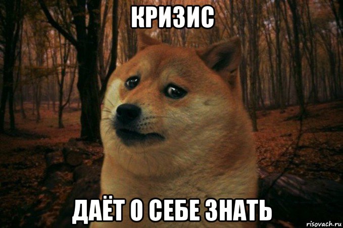 кризис даёт о себе знать, Мем SAD DOGE