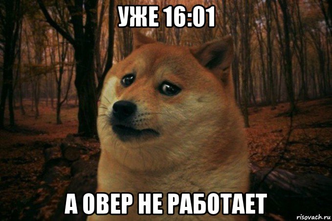 уже 16:01 а овер не работает, Мем SAD DOGE