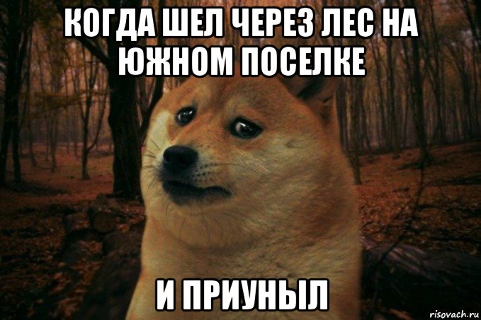 когда шел через лес на южном поселке и приуныл, Мем SAD DOGE