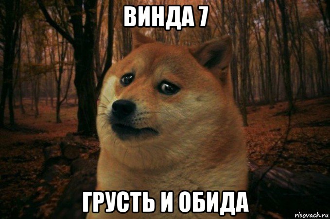 винда 7 грусть и обида, Мем SAD DOGE