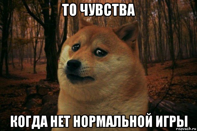 то чувства когда нет нормальной игры, Мем SAD DOGE