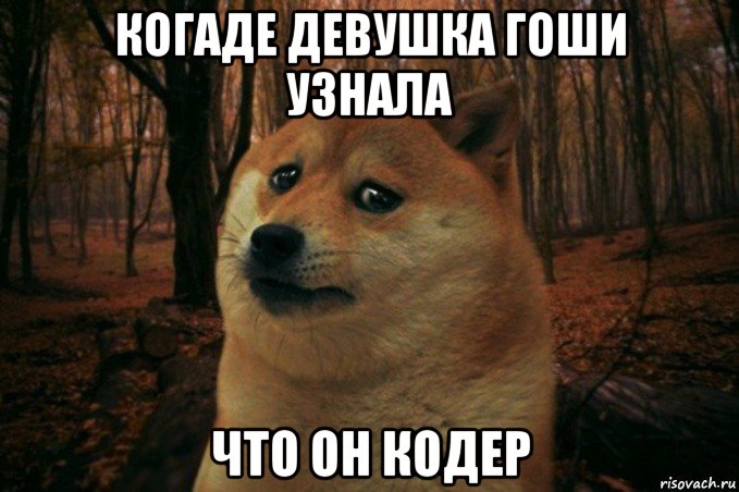 когаде девушка гоши узнала что он кодер, Мем SAD DOGE