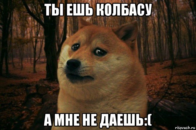 ты ешь колбасу а мне не даешь:(, Мем SAD DOGE