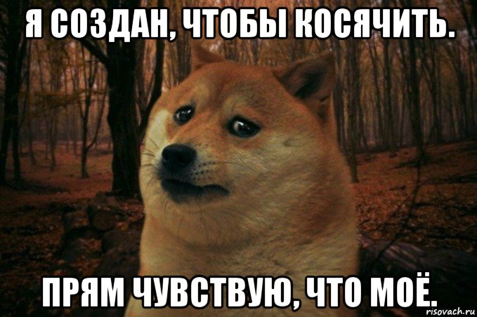 я создан, чтобы косячить. прям чувствую, что моё., Мем SAD DOGE