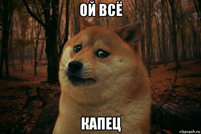 ой всё капец, Мем SAD DOGE