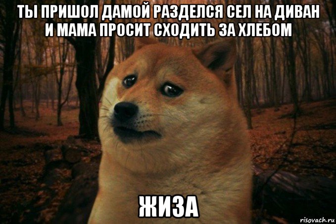 ты пришол дамой разделся сел на диван и мама просит сходить за хлебом жиза, Мем SAD DOGE