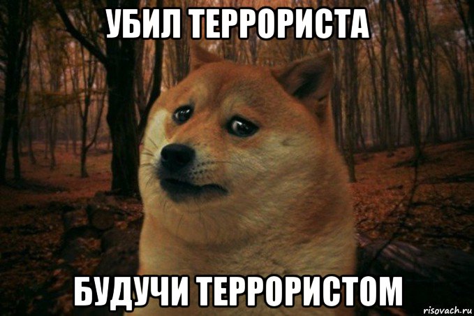 убил террориста будучи террористом, Мем SAD DOGE