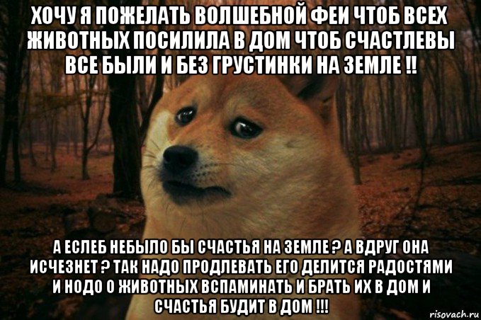 хочу я пожелать волшебной феи чтоб всех животных посилила в дом чтоб счастлевы все были и без грустинки на земле !! а еслеб небыло бы счастья на земле ? а вдруг она исчезнет ? так надо продлевать его делится радостями и нодо о животных вспаминать и брать их в дом и счастья будит в дом !!!, Мем SAD DOGE