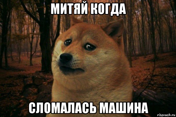 митяй когда сломалась машина, Мем SAD DOGE