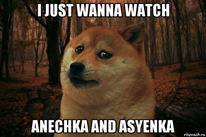 i just wanna watch anechka and asyenka, Мем SAD DOGE