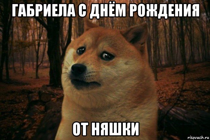 габриела с днём рождения от няшки, Мем SAD DOGE