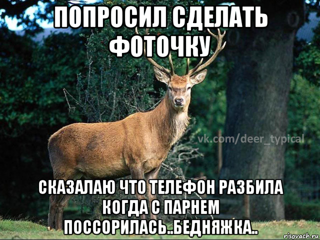 попросил сделать фоточку сказалаю что телефон разбила когда с парнем поссорилась..бедняжка.., Мем Паблик Типичный олень