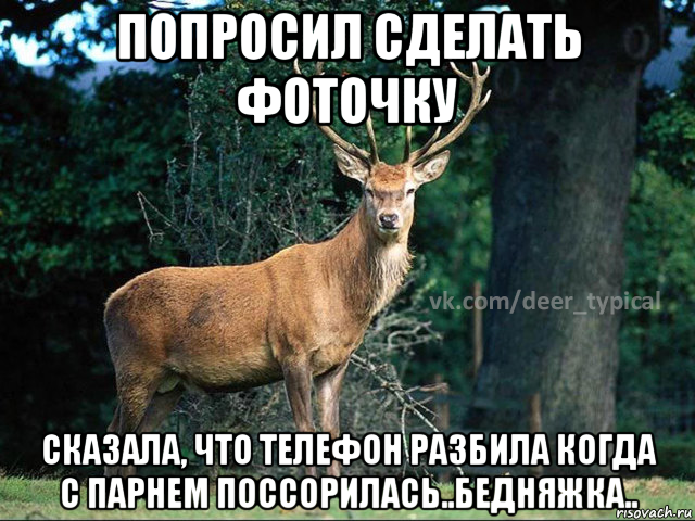 попросил сделать фоточку сказала, что телефон разбила когда с парнем поссорилась..бедняжка.., Мем Паблик Типичный олень