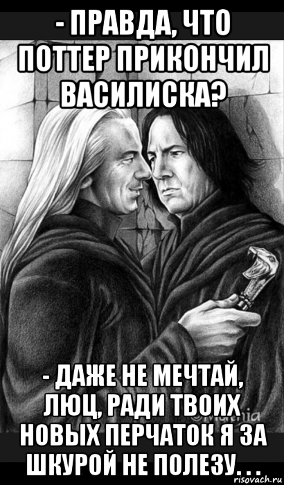 - правда, что поттер прикончил василиска? - даже не мечтай, люц, ради твоих новых перчаток я за шкурой не полезу. . ., Мем Снейп