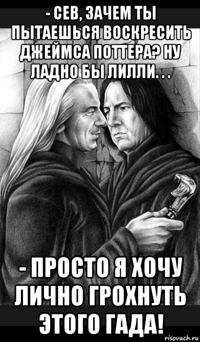 - сев, зачем ты пытаешься воскресить джеймса поттера? ну ладно бы лилли. . . - просто я хочу лично грохнуть этого гада!, Мем Снейп