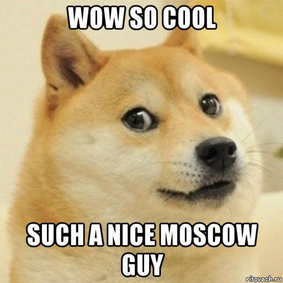 wow so cool such a nice moscow guy, Мем  Собака удивлена