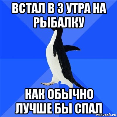 встал в 3 утра на рыбалку как обычно лучше бы спал, Мем  Социально-неуклюжий пингвин