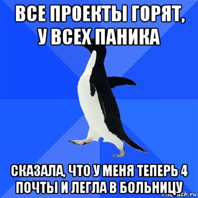 все проекты горят, у всех паника сказала, что у меня теперь 4 почты и легла в больницу, Мем  Социально-неуклюжий пингвин