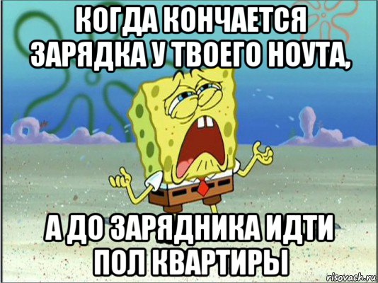 когда кончается зарядка у твоего ноута, а до зарядника идти пол квартиры, Мем Спанч Боб плачет