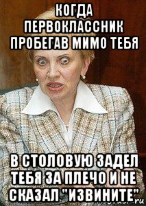 когда первоклассник пробегав мимо тебя в столовую задел тебя за плечо и не сказал "извините", Мем Судья Егорова