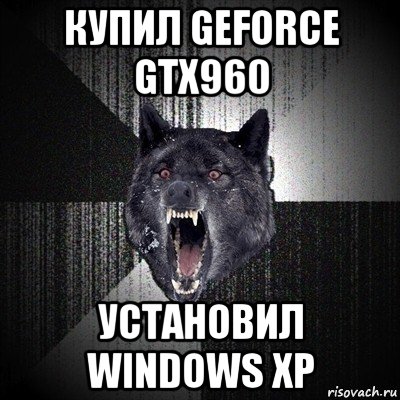 купил geforce gtx960 установил windows xp, Мем Сумасшедший волк