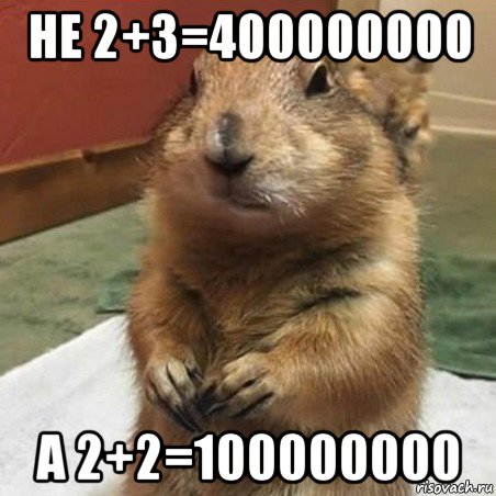 не 2+3=400000000 а 2+2=100000000, Мем Суслик спрашивает