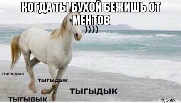 когда ты бухой бежишь от ментов , Мем   Тыгыдык